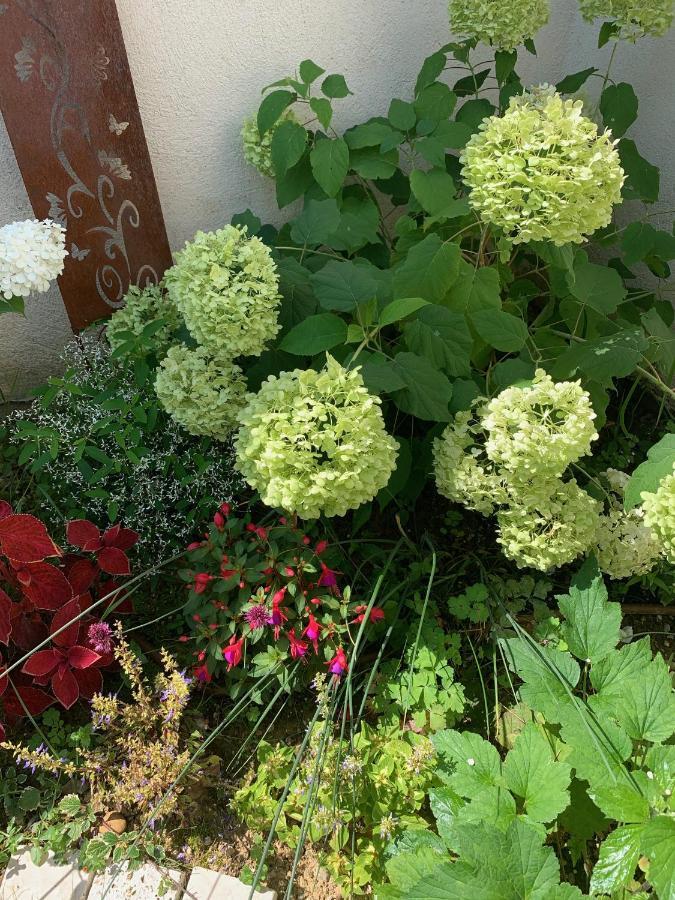 La Glycine B&B Sainte-Colombe  エクステリア 写真