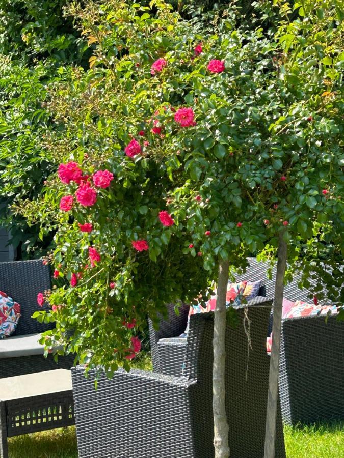 La Glycine B&B Sainte-Colombe  エクステリア 写真